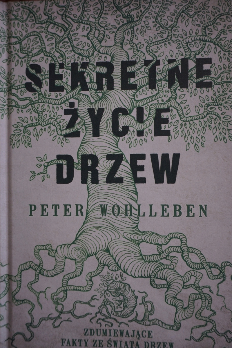 Peter Wohlleben Sekretne Zycie Drzew SEKRETNE ŻYCIE DRZEW PETER WOHLLEBEN (12727894733) | Książka Allegro