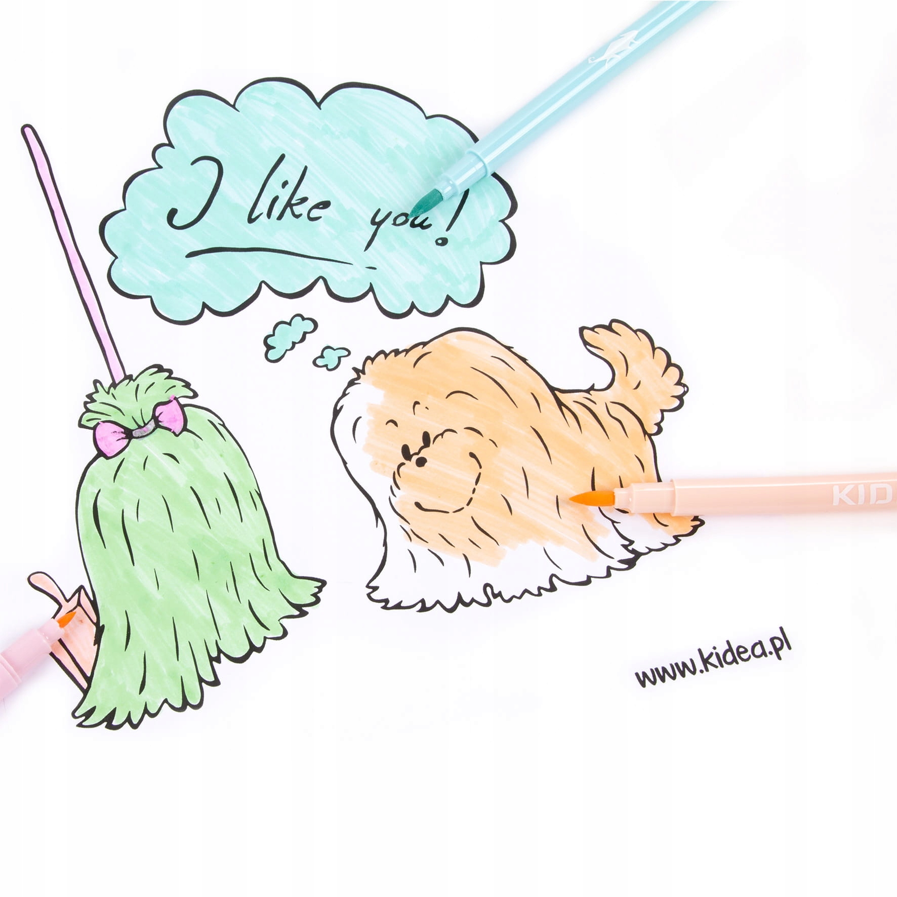 KIDEA FLAMASTRY PISAKI PASTELOWE 6 kol dwustronne Rodzaj flamastry