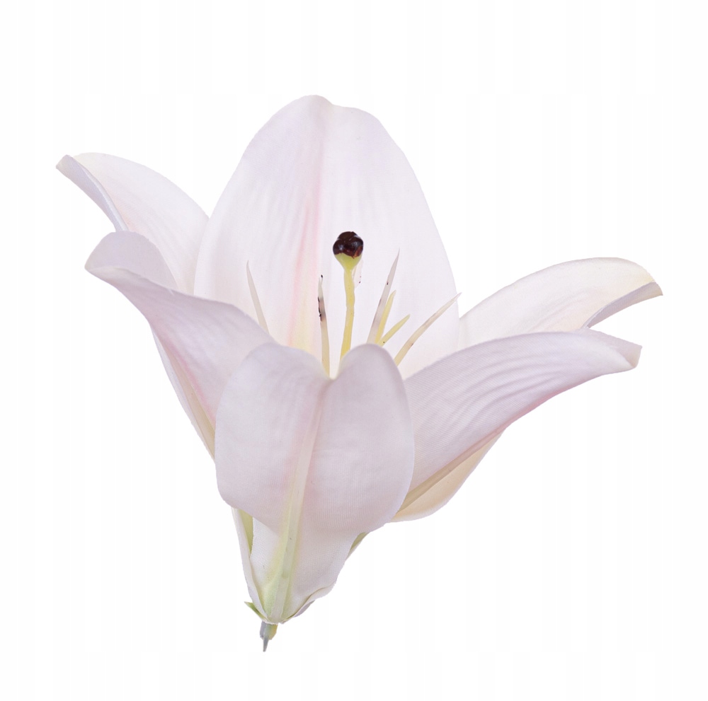 

Lilia główka biała 13cm sztuczna wyrobówka