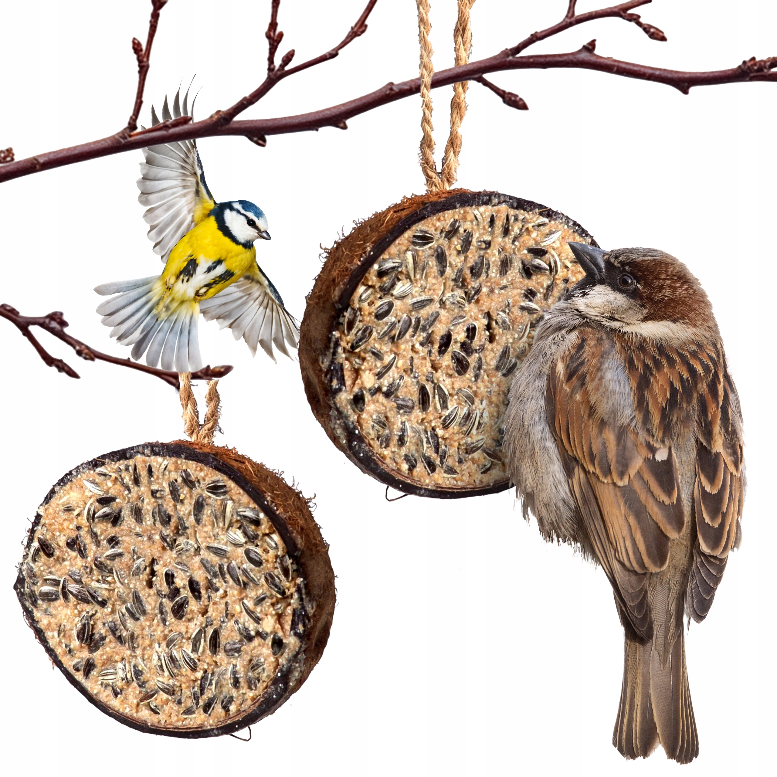 Krmivo pro volně žijící ptáky, slunečnicový tuk v kokosovém krmivo 0,2 kg