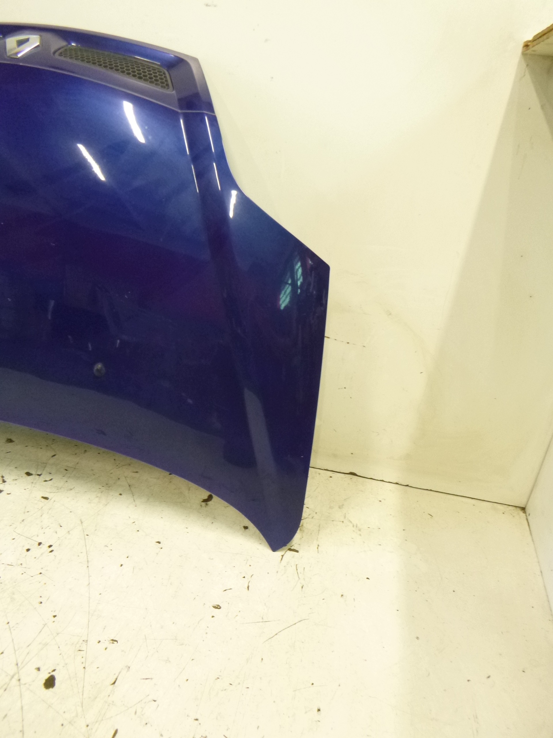 cofano Renault Scenic e Lift 99-03 TED44 Granat