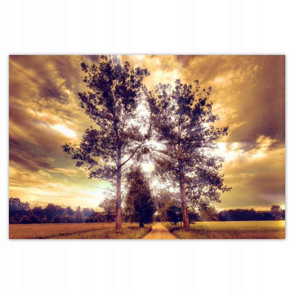 

Plakaty 93x62 Wiejski pejzaż z drogą