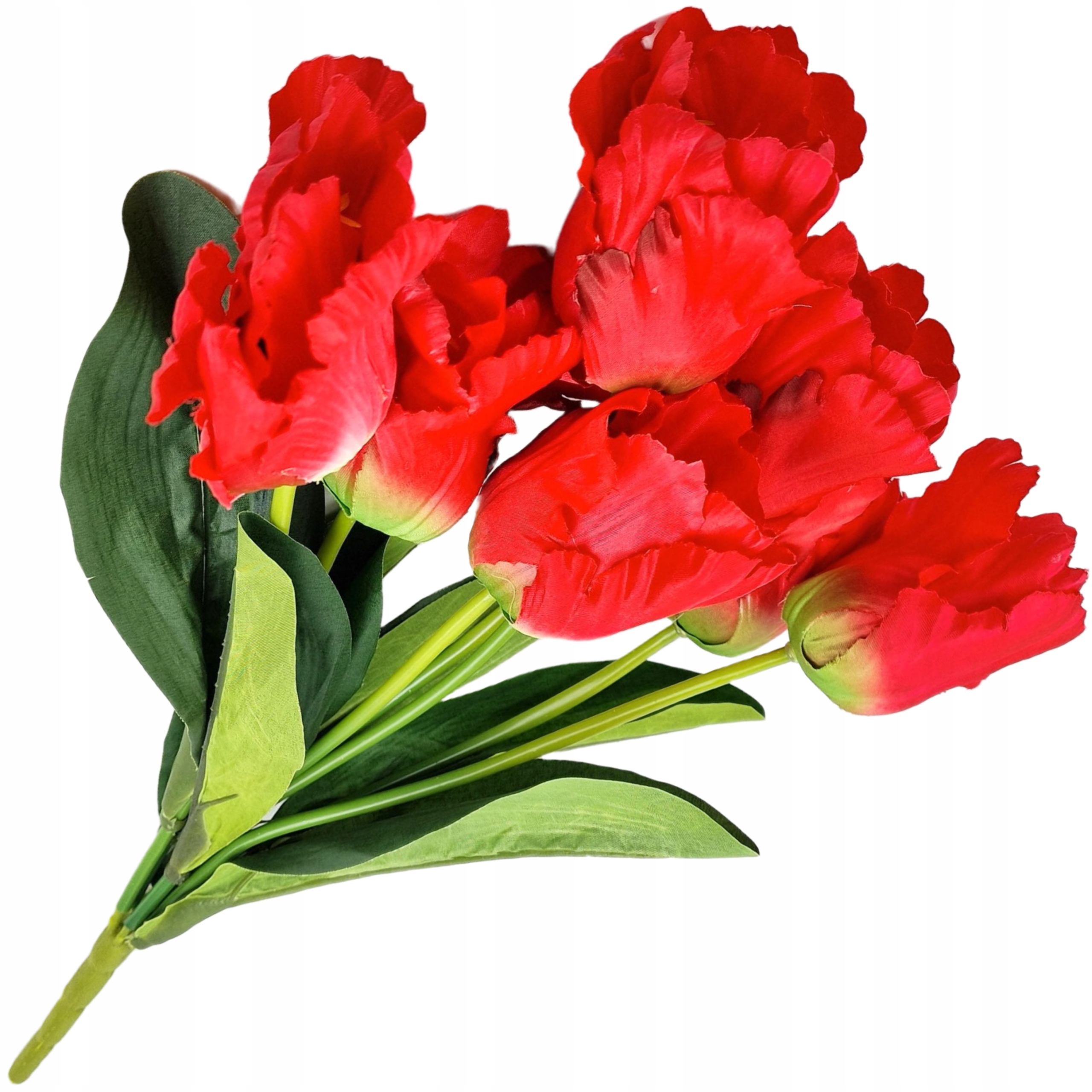 

Kwiaty Tulipany Duży Bukiet 7 Kwiatów Tulipan