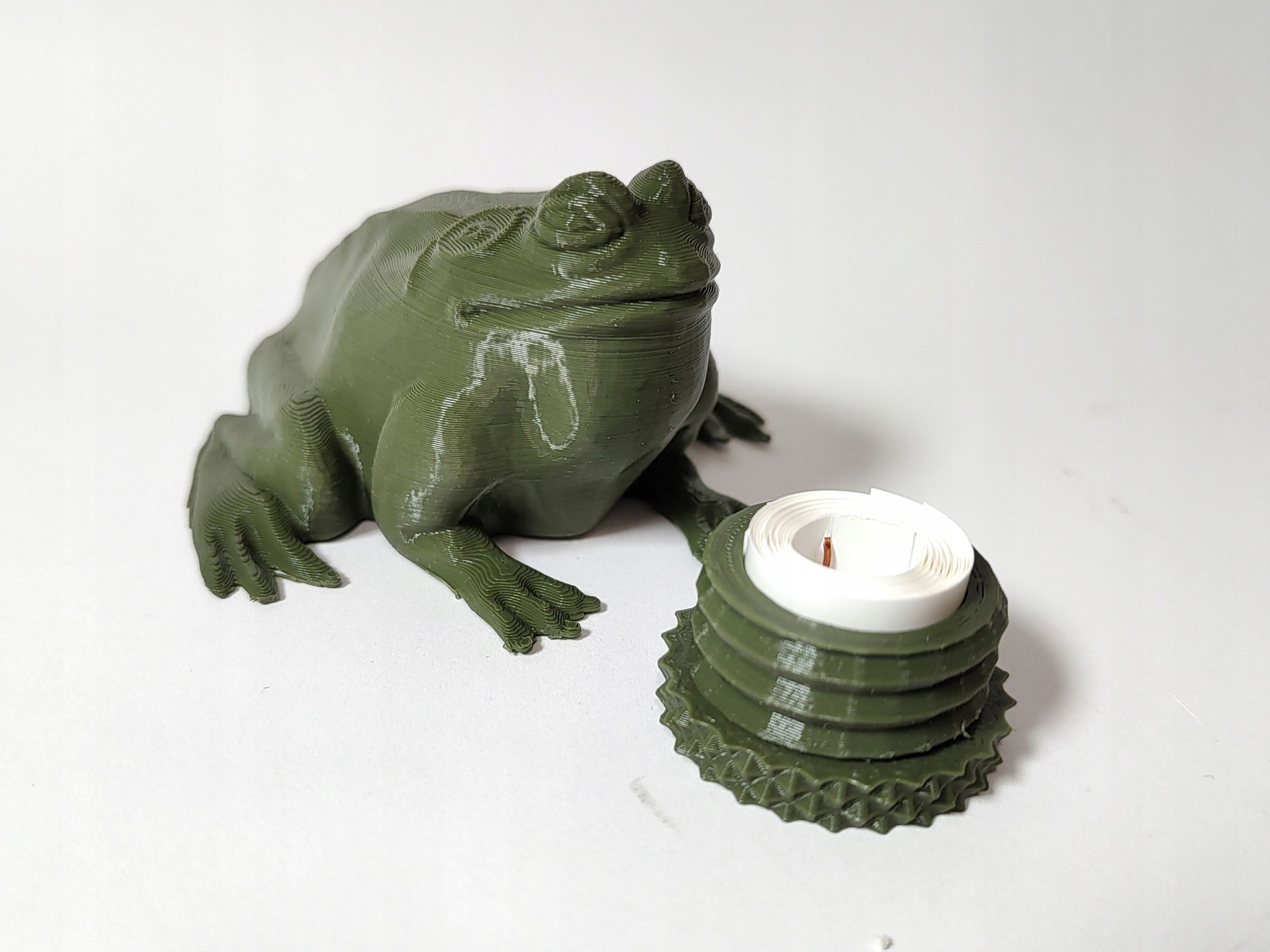 Maskowanie, skrytka Żaba duża. Geocaching Marka Crazycache.pl