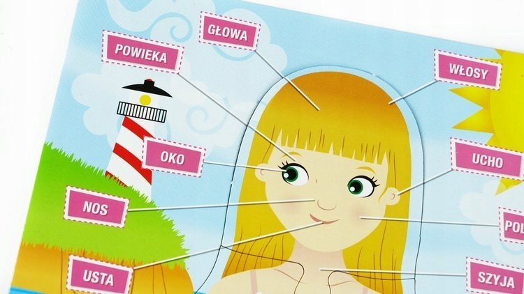 Karotka Puzzle CIAŁO CZŁOWIEKA 61167 Lisciani Wydawca Lisciani