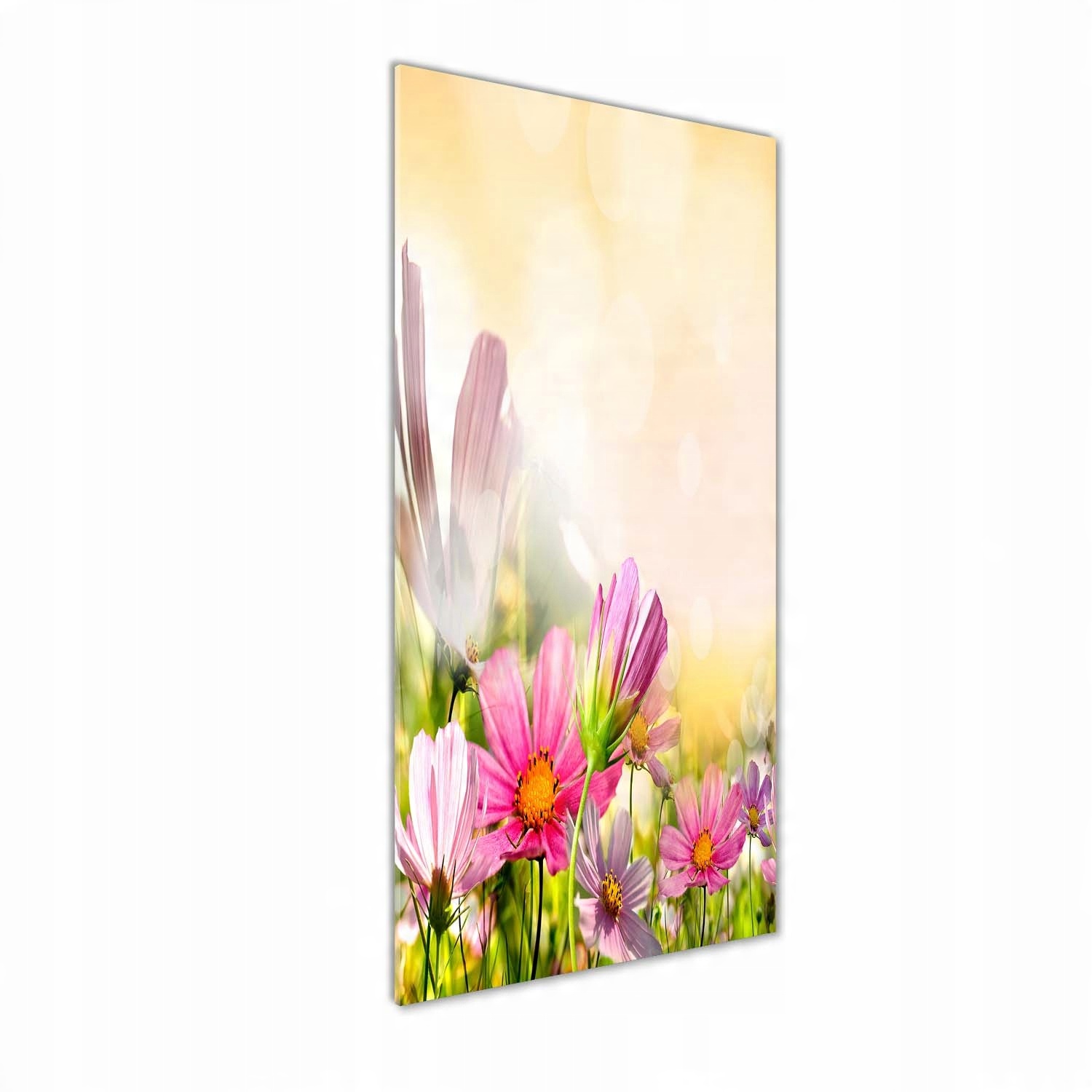 

Nowoczesny fotoobraz akrylowy Polne kwiaty 50x125