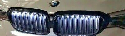 Решетка BMW 5 серии G30 63172468333 левая Iconic