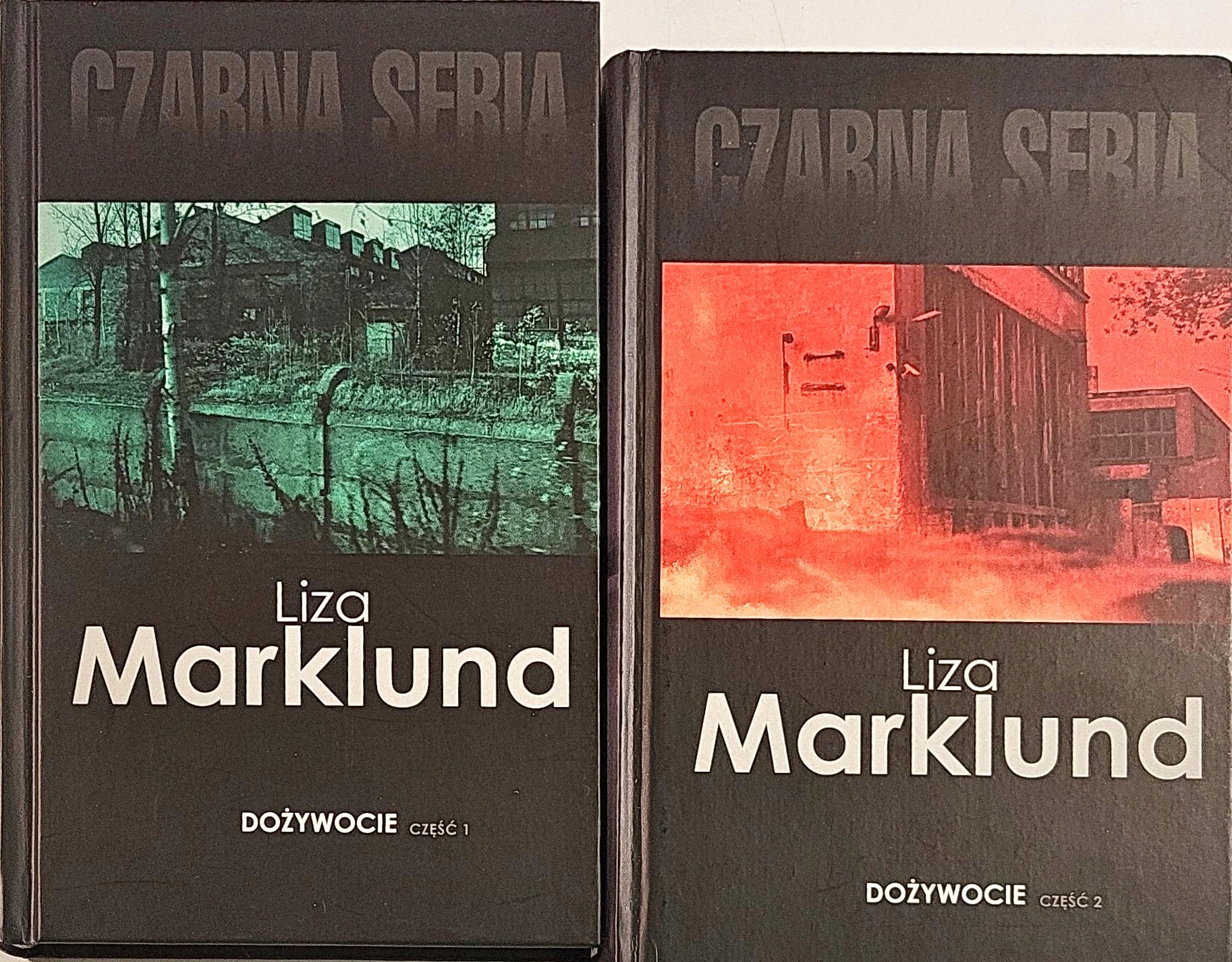 LIZA MARKLUND DOŻYWOCIE