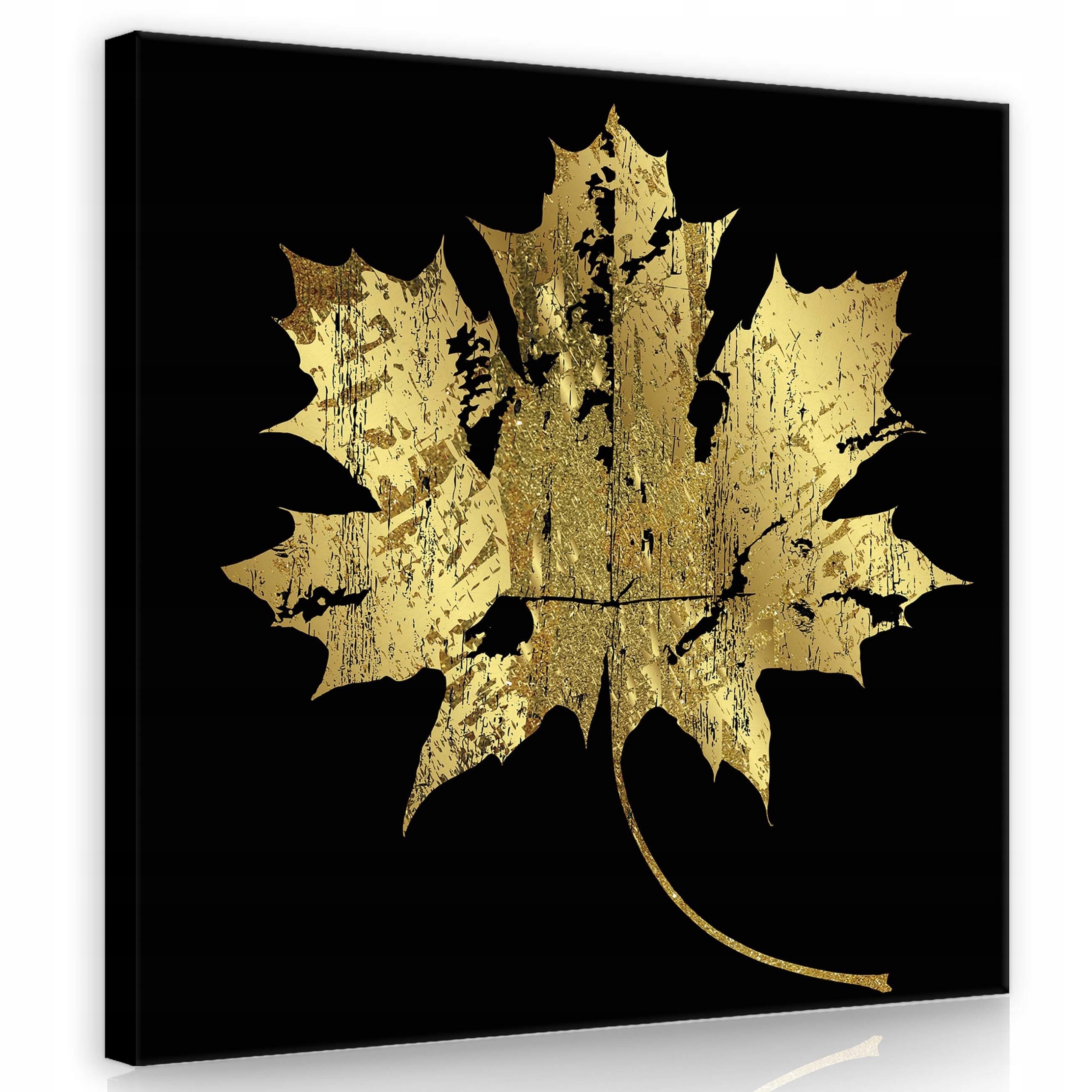 Obraz 80x80 Zlatý javorový list, černé pozadí, elegance, luxus, kontrast