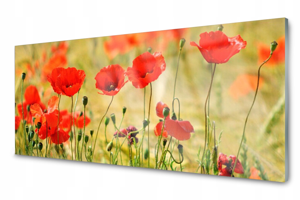 

Panel szklany do kuchni Maki Roślina 125x50