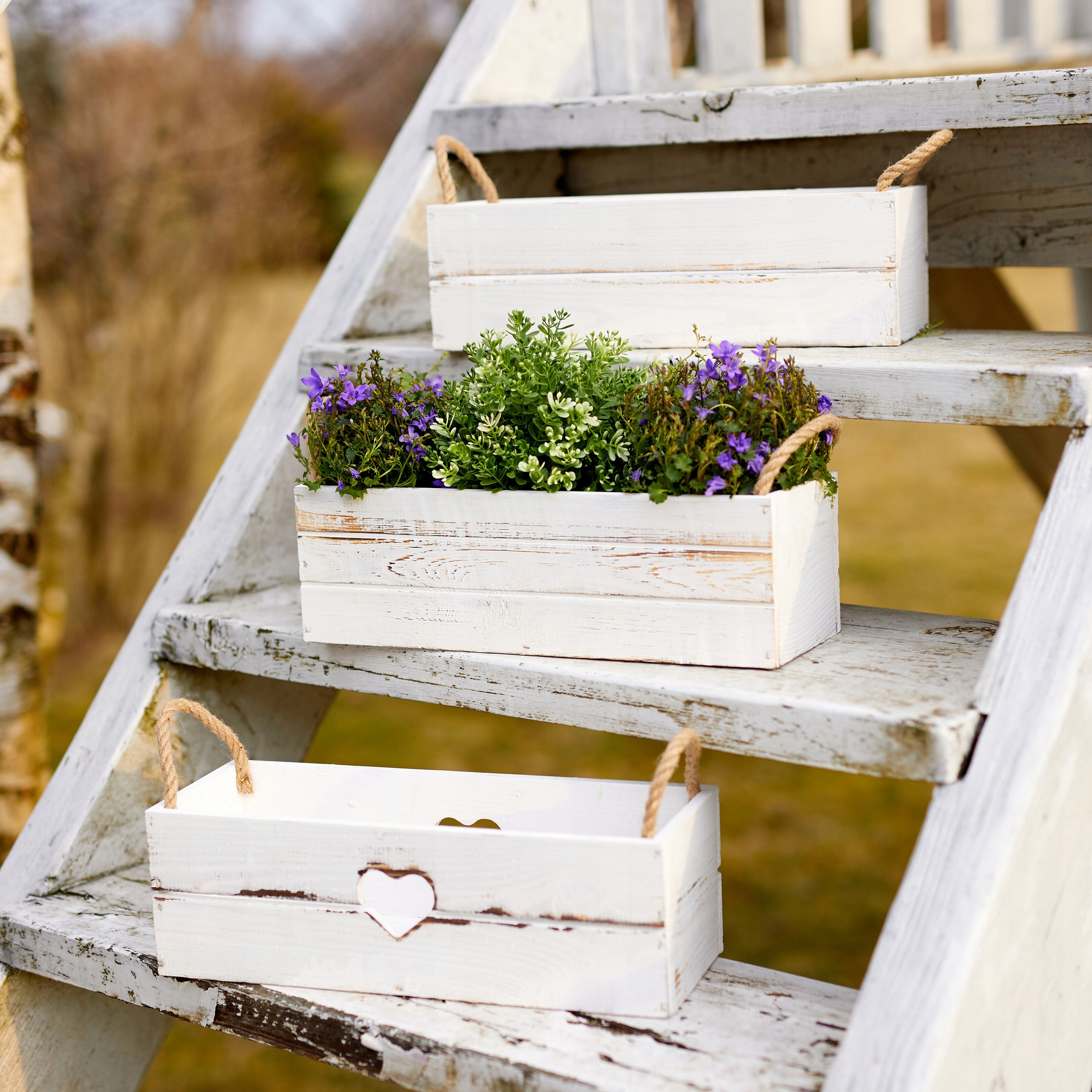 BIAŁA SKRZYNKA DREWNIANA NA KWIATY ZIOŁA WRZOSY Wysokość produktu 11 cm