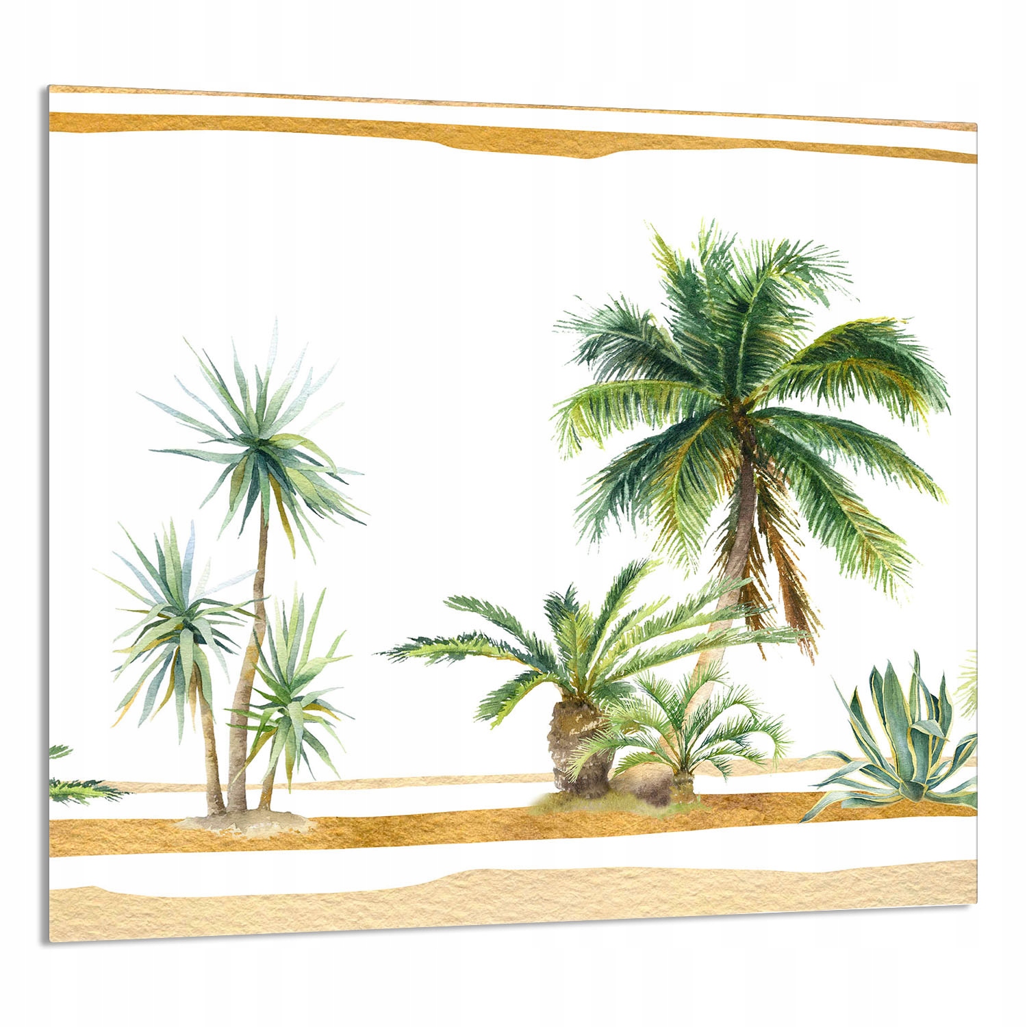 Skleněný Panel Do Kuchyně 65x60 Palmy Tvrzené Sklo