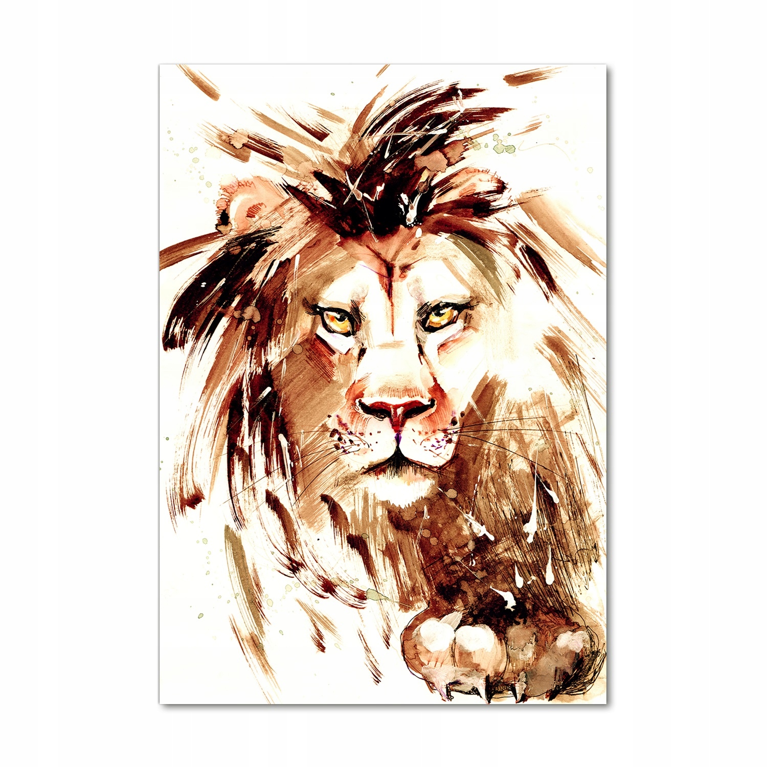 

Nowoczesny obraz zdjęcie na akrylu Lew 70x100 cm