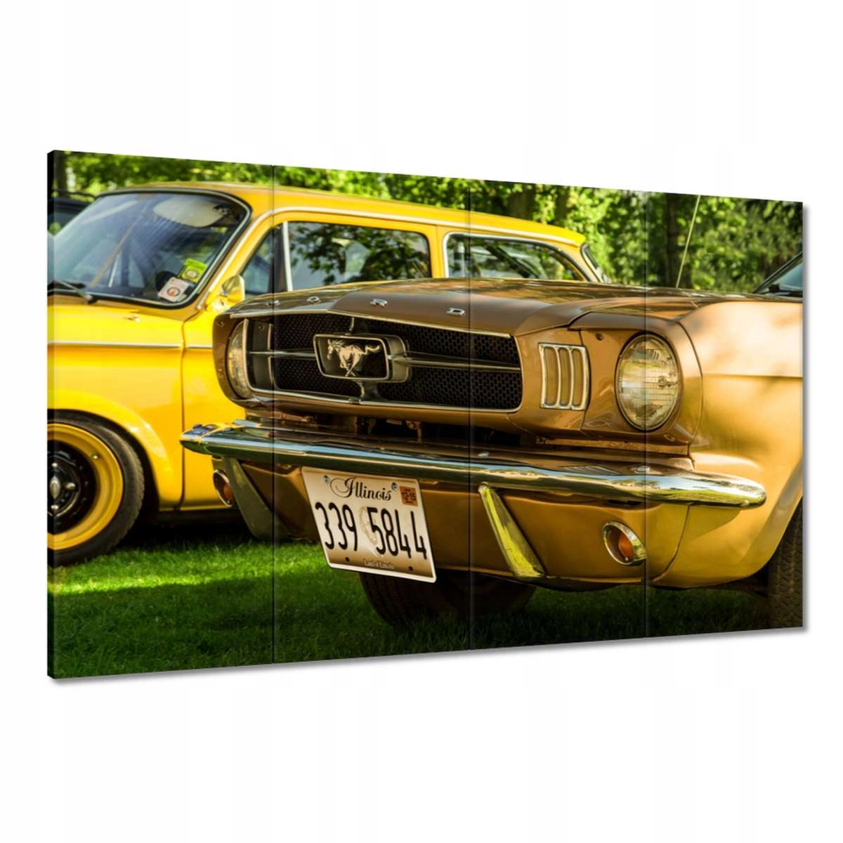 Obrazy 120x80 Form Mustang vyrobené v Usa