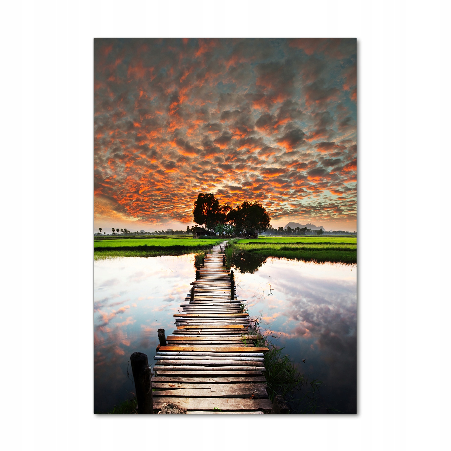 Foto obraz na skle Dřevěný most 70x100