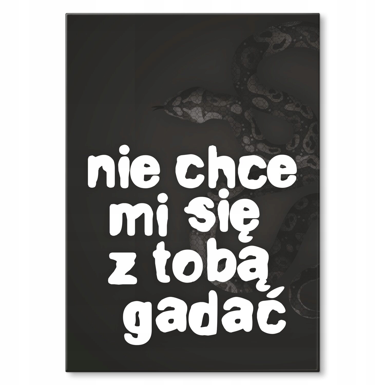 Kovový plakát Nechci mluvit Dárek 42 x 59 cm