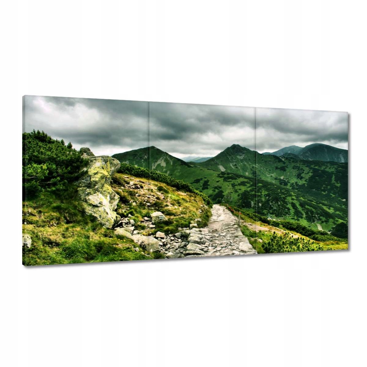 Obrazy 180x90 Cesta v Tatrách