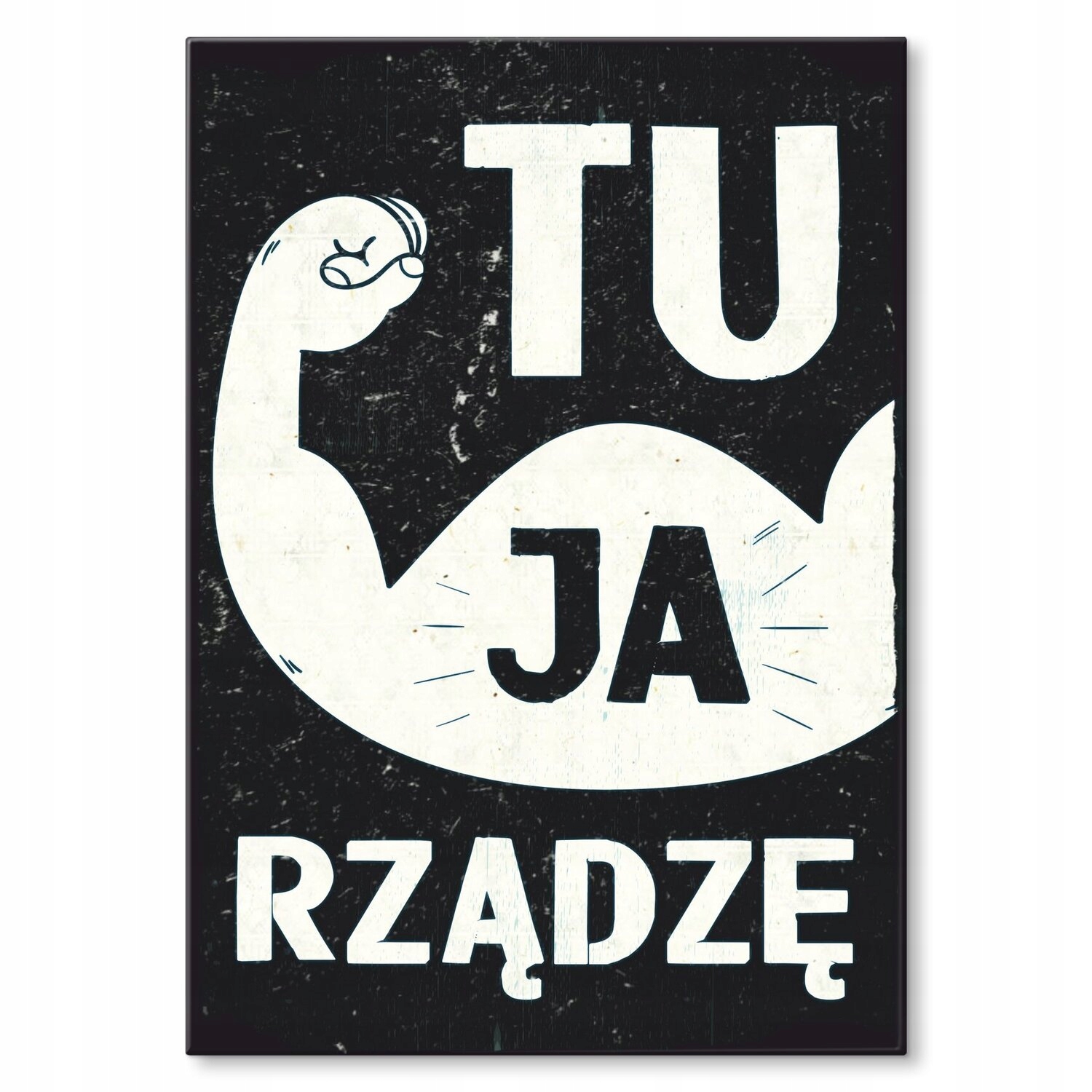 Kovový plakát Já tady vládnu Dárek 42 x 59 cm