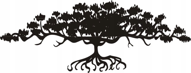 

Naklejka na ścianę drzewo bonzai Drzewko bonsai