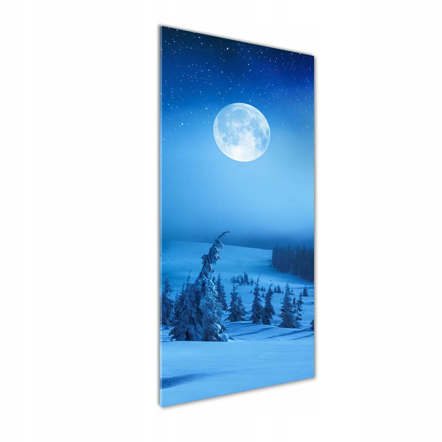 

Foto obraz szkło akrylowe Pełnia księżyca 50x125cm