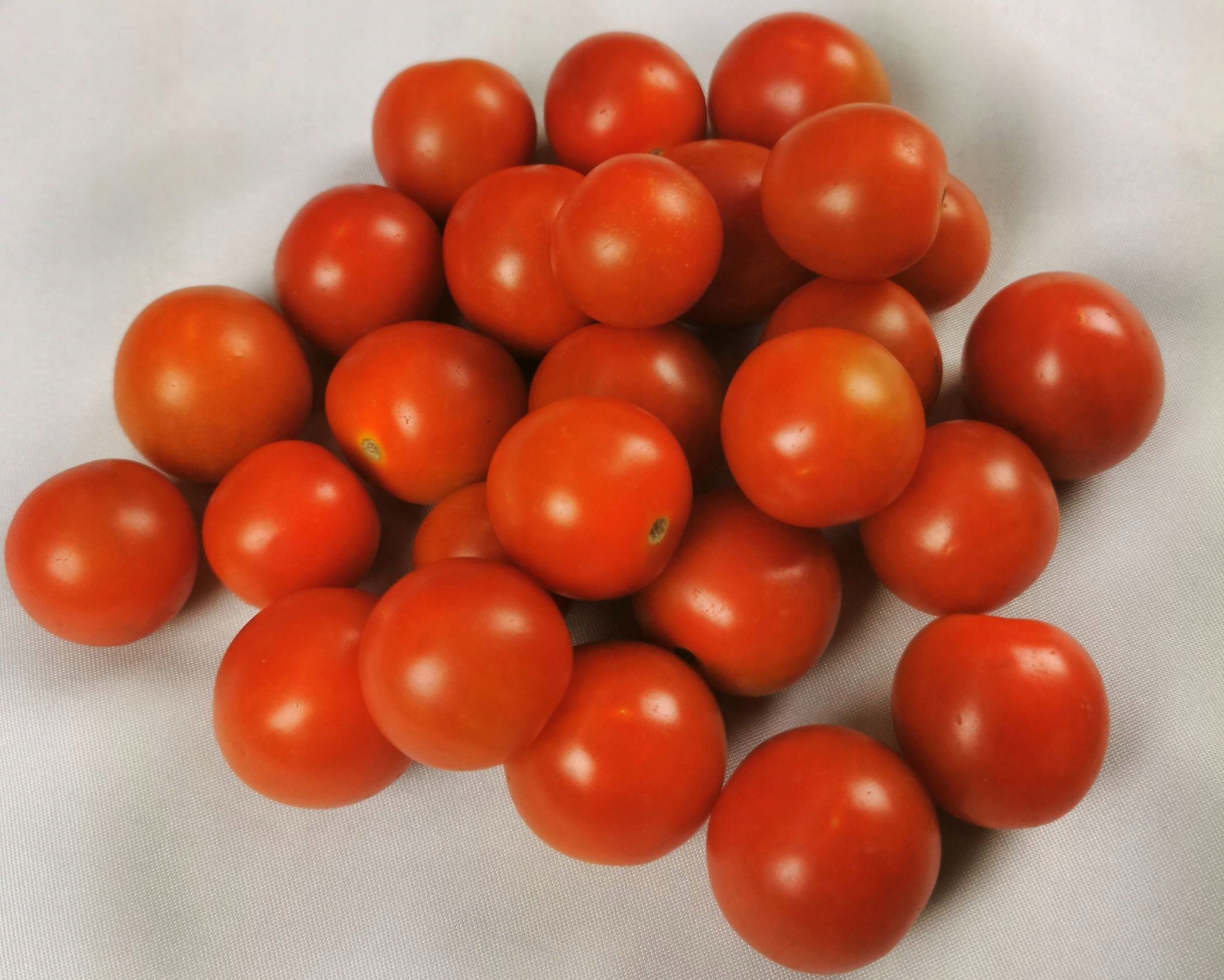 POMIDORY CHERRY | DAKTYLOWE | KOKTAJLOWE | 500 g |SIGMA FRESH