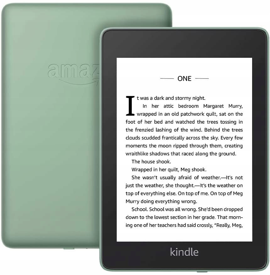 Amazon Kindle Paperwhite 4 8 ГБ 2020 зеленый (шалфей)