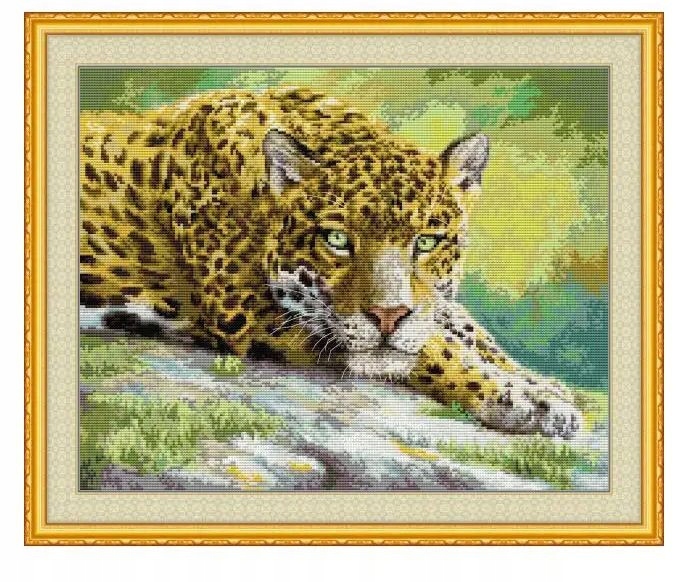 Kanva s potiskem- kanva, mulina, sada