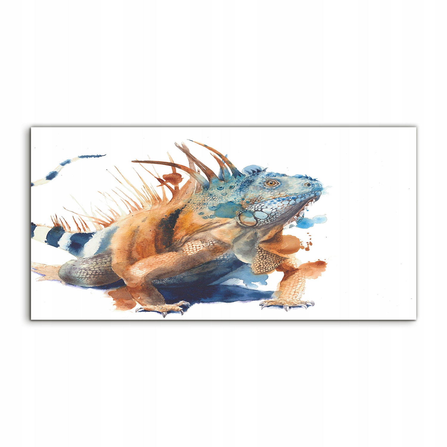 Fotoobraz 100x50 s grafikou Iguana Zviera Tropické