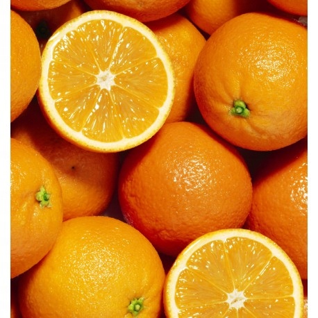 Yodeyma Blue Sand Woda Perfumowana Dla Mężczyzn 100ml Marka Yodeyma