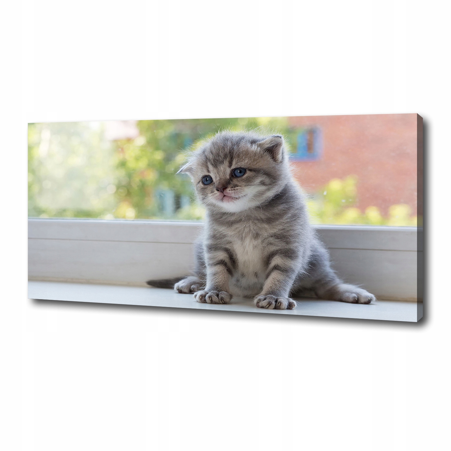 

Foto obraz na płótnie Mały kot przy oknie 125x50cm