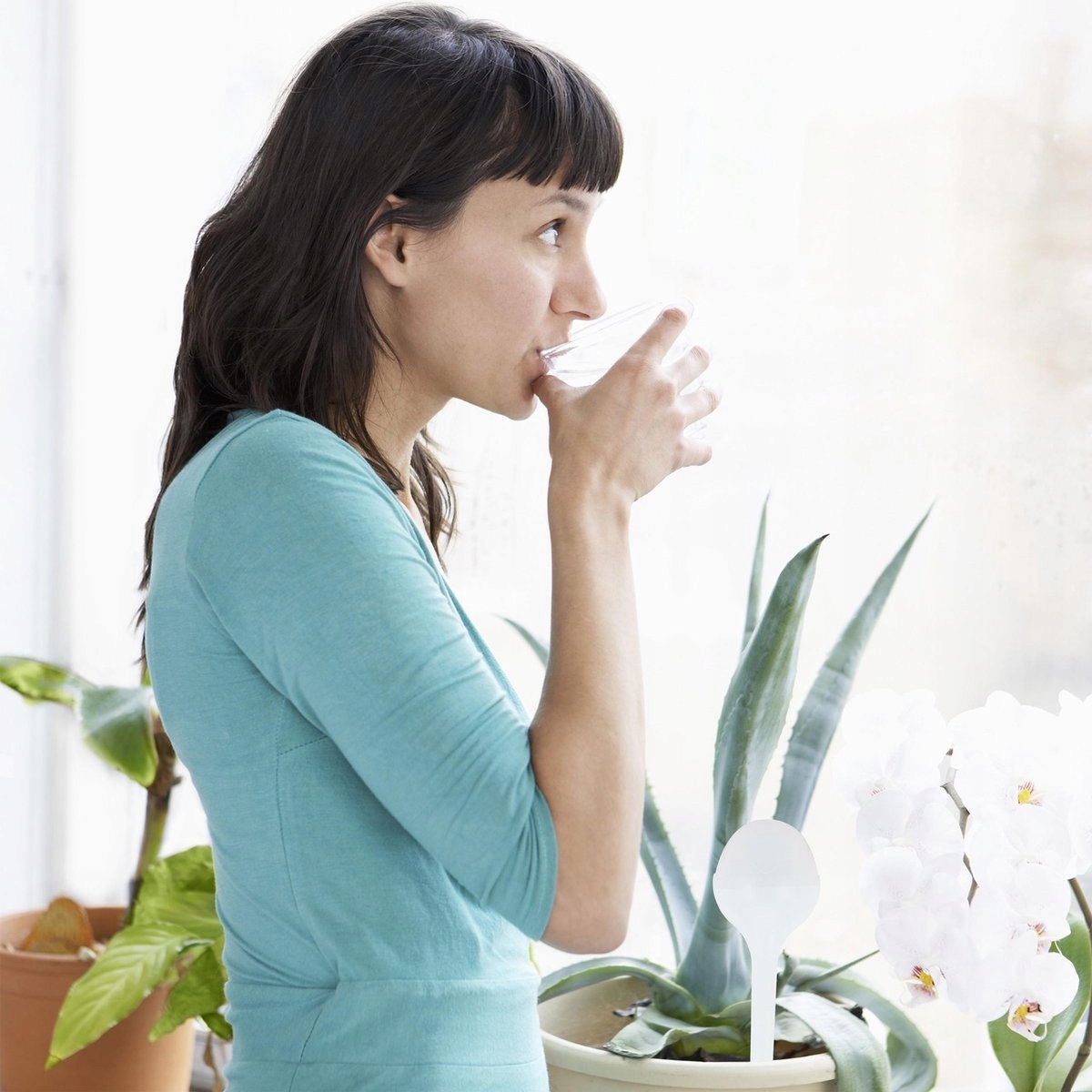 4x NAWADNIACZ DO KWIATÓW DOZOWNIK WODY KULE NAWADNIA BIAŁE Kod producenta 10025454