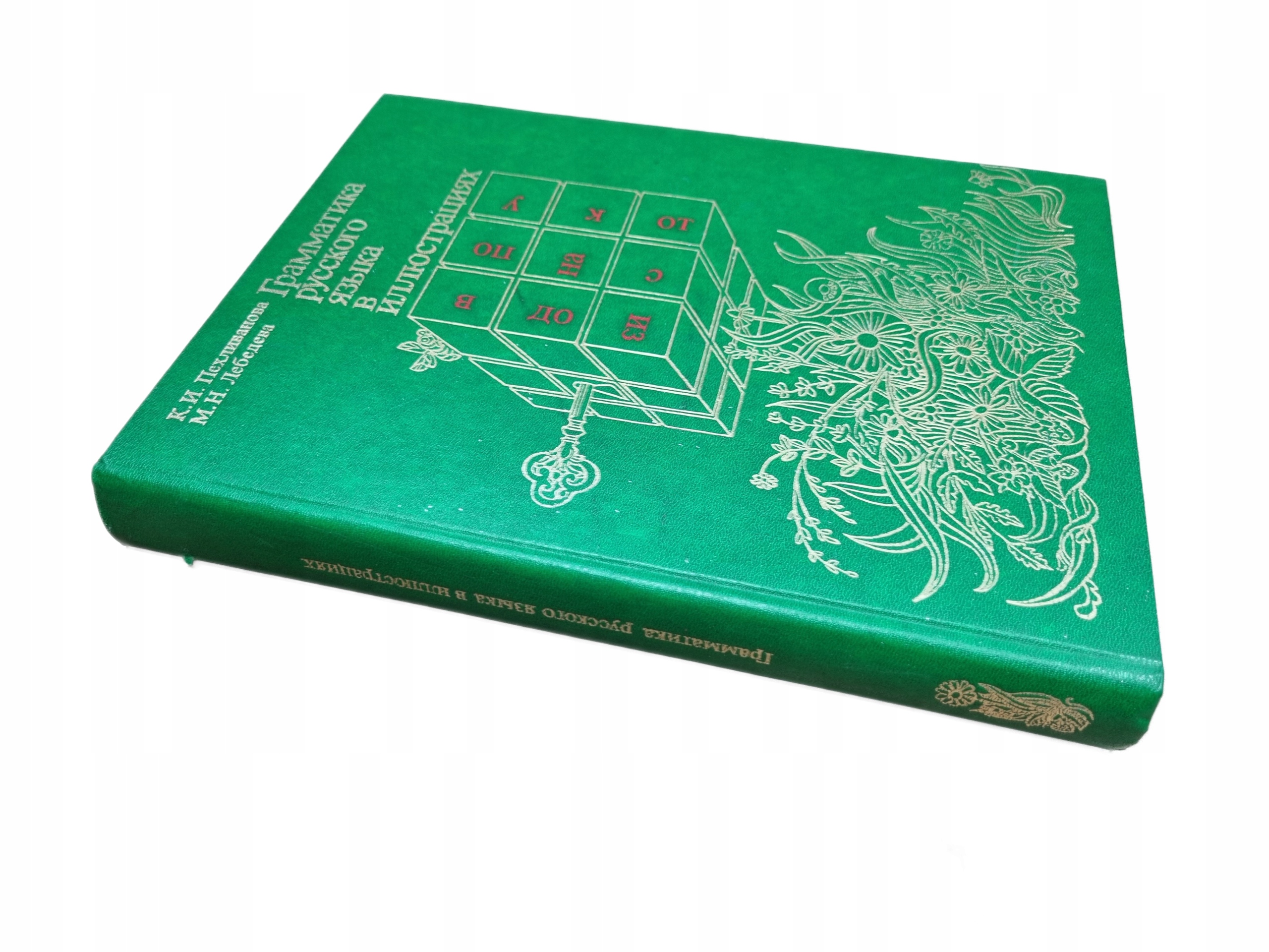 GRAMATYKA JĘZYKA ROSYJSKIEGO W ILUSTRACJACH