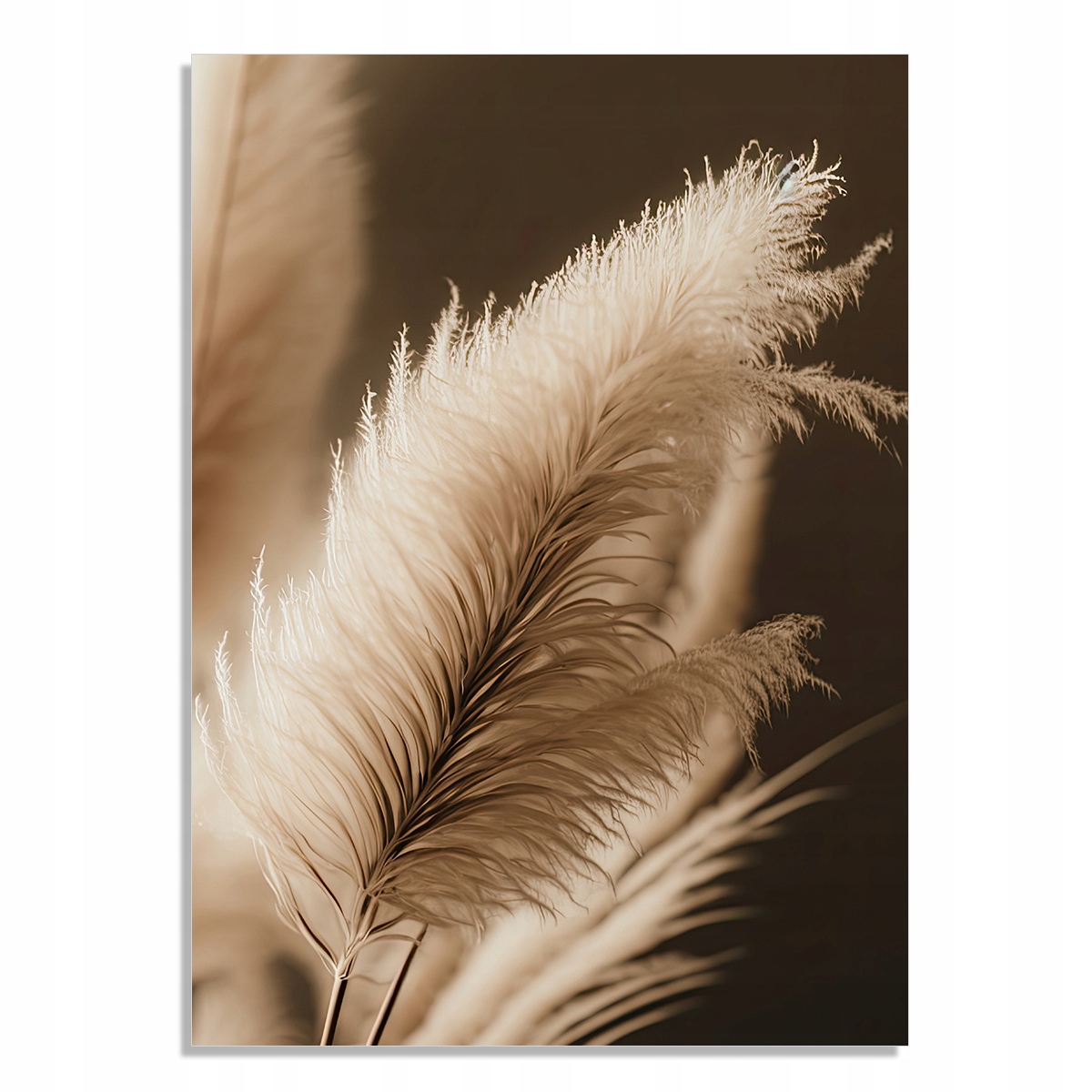 PLAKAT NA ŚCIANĘ DO DOMU, SALONU STYL BOHO 60x40 cm RÓŻNE WZORY