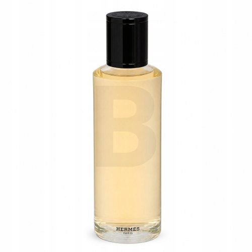 Hermès Terre D'Hermes Intense parfémovaná voda pro muže Refill 200 ml