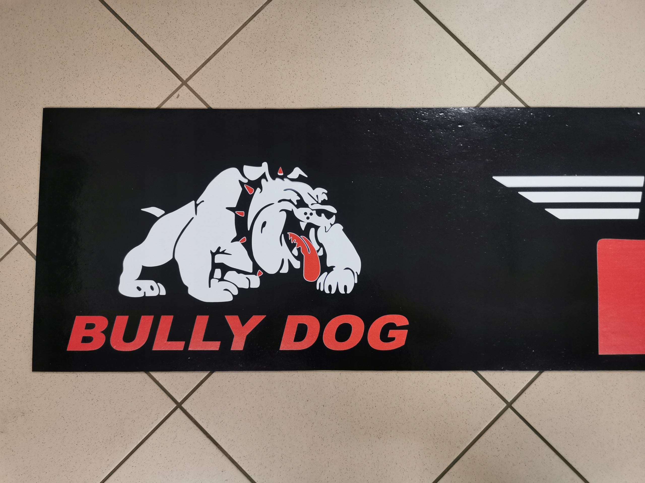 Chlapacz fartuch naczepy DAF czarny BULLY DOG Installation side Rear