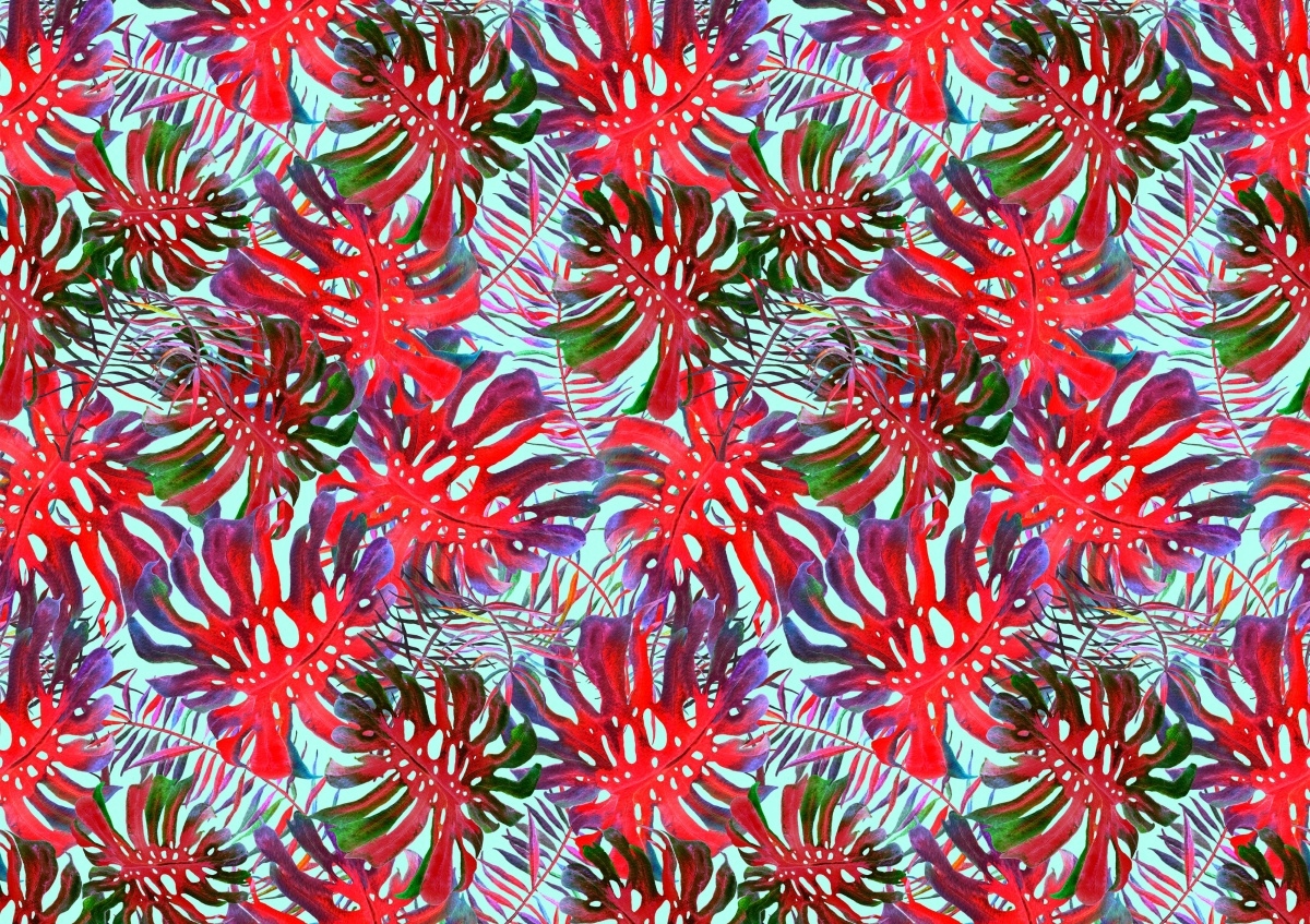 

Fototapeta Flizelinowa Monstera dziurawa 312x219