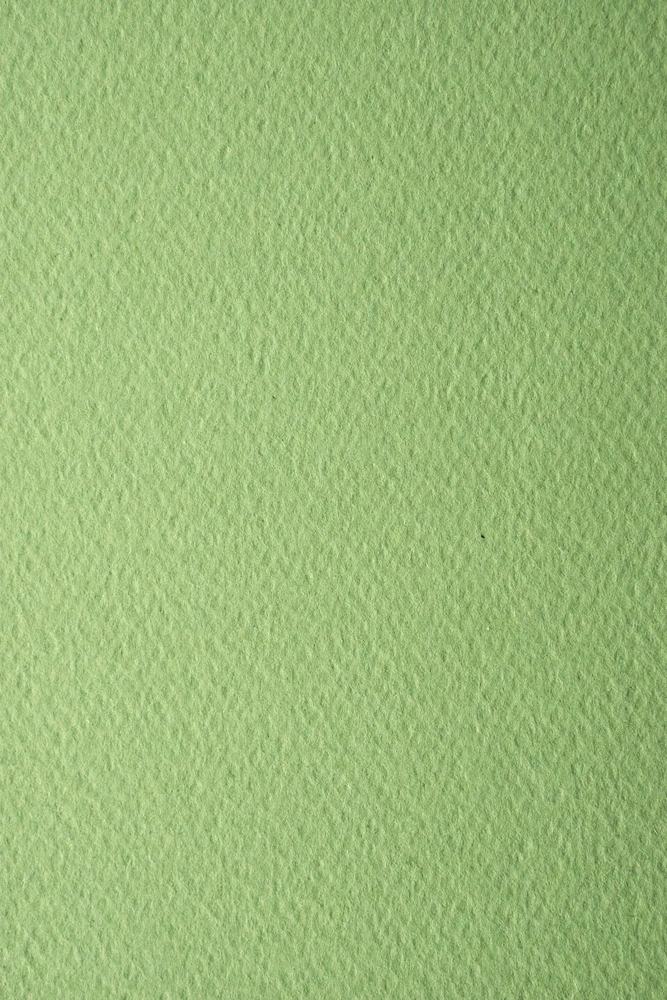 

Papier Prisma 220g Pistacchio j. zielony 10A4