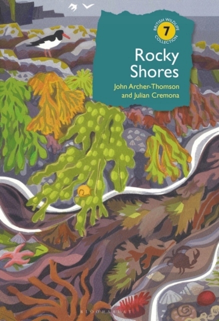 Rocky Shores John Archer-Thomson, Julian Cremona