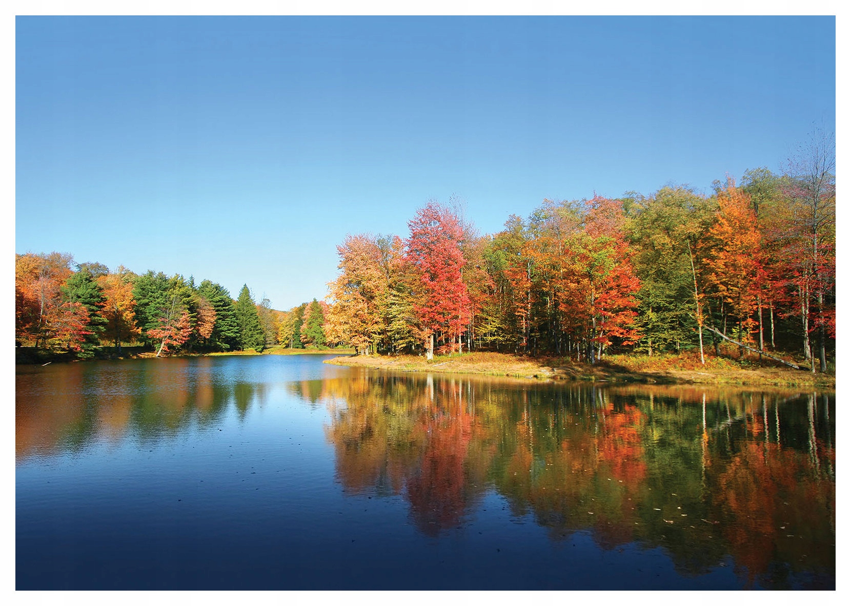 Fototapeta Jesenné jazero les odraz vinyl 254x184 farby prírody lepidlo