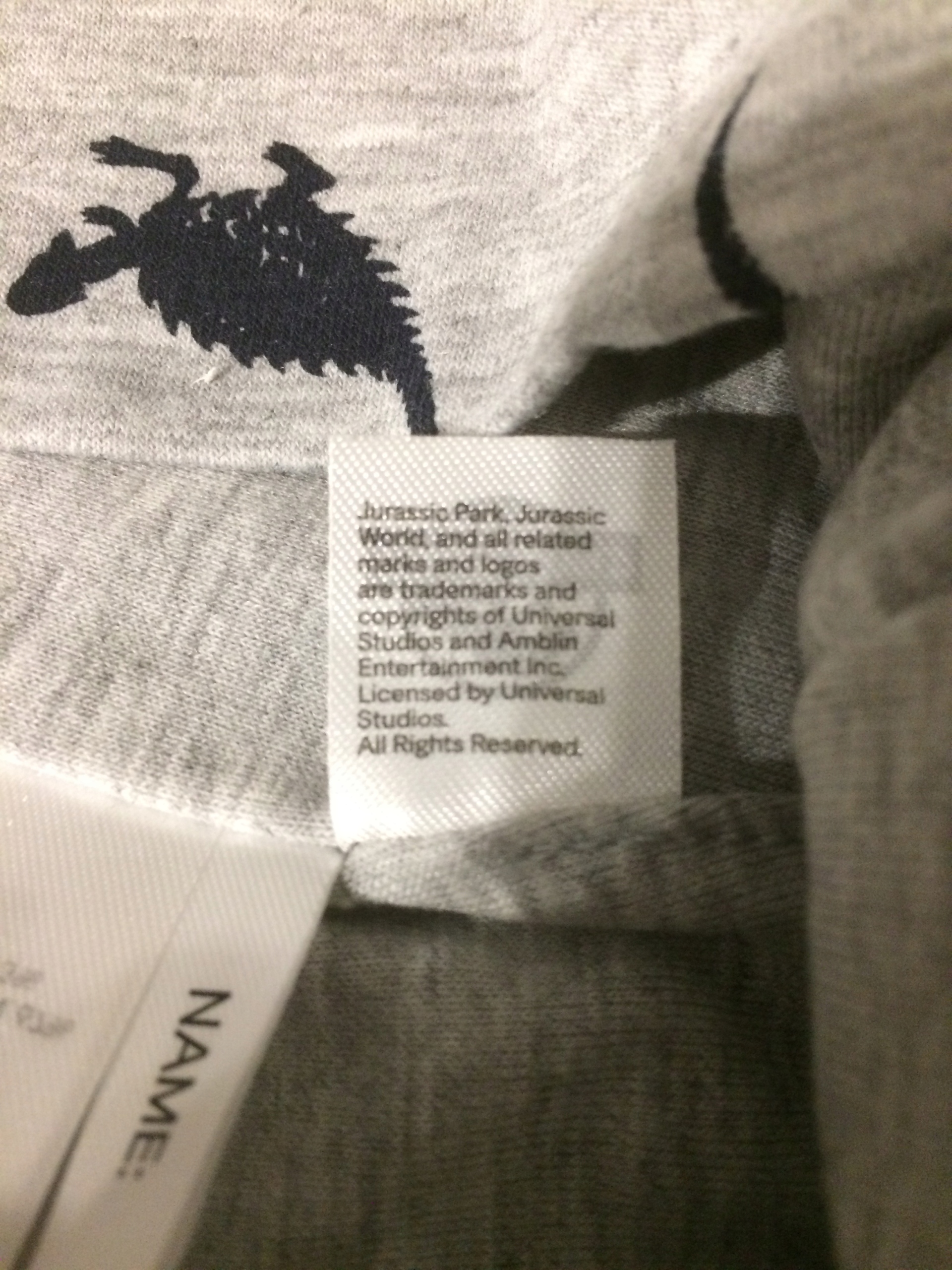 H&M CZAPKA SZARA JURASSIC WORLD 92/104 Płeć chłopcy