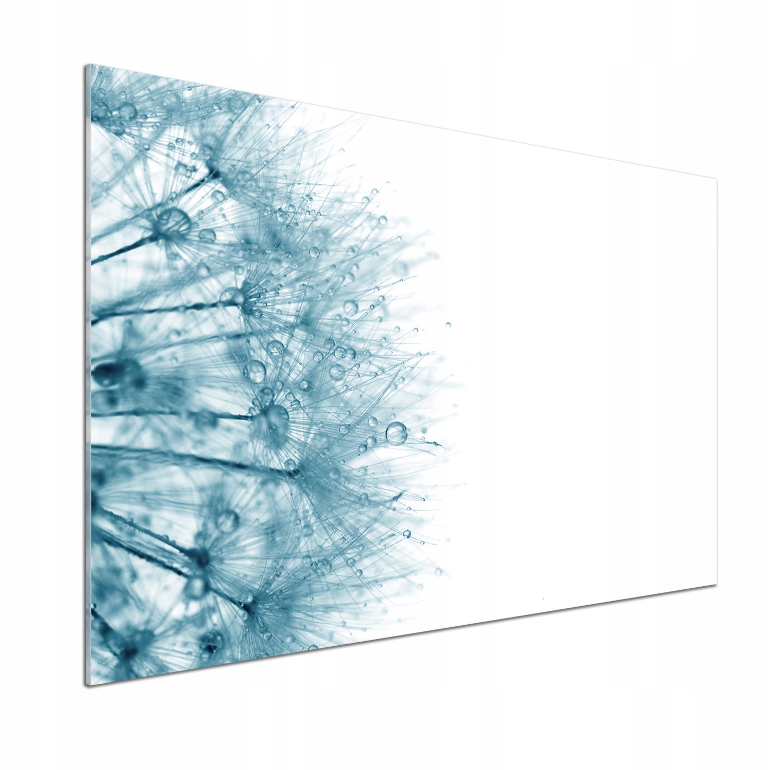 Dekoračný panel zo skla Púpava 100 x 70 cm Lepidlo