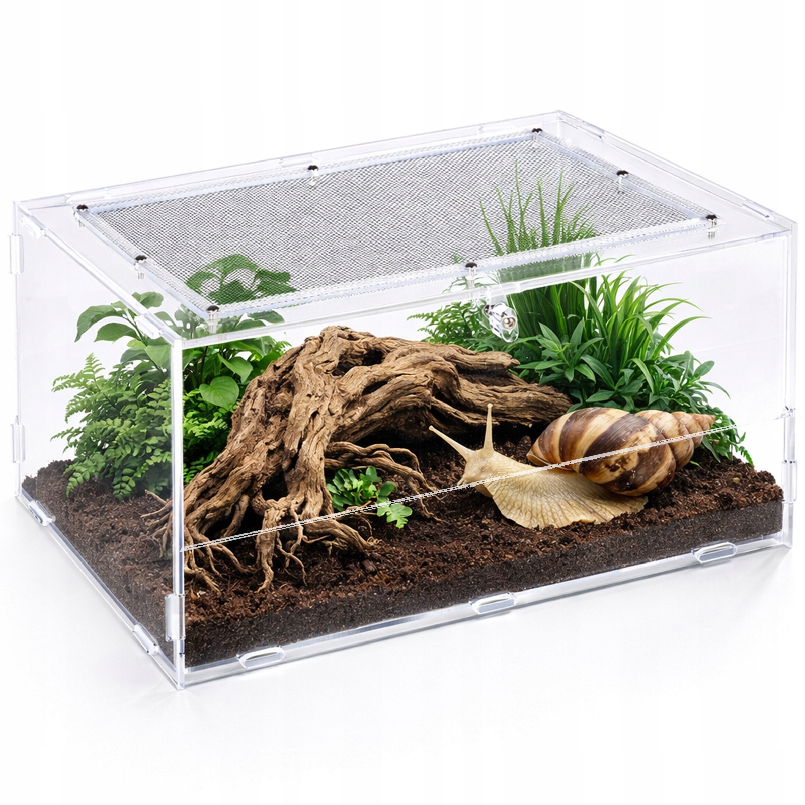 Małe Terrarium Na Biurko Dla Pająków Owadów Akrylowe Lekkie