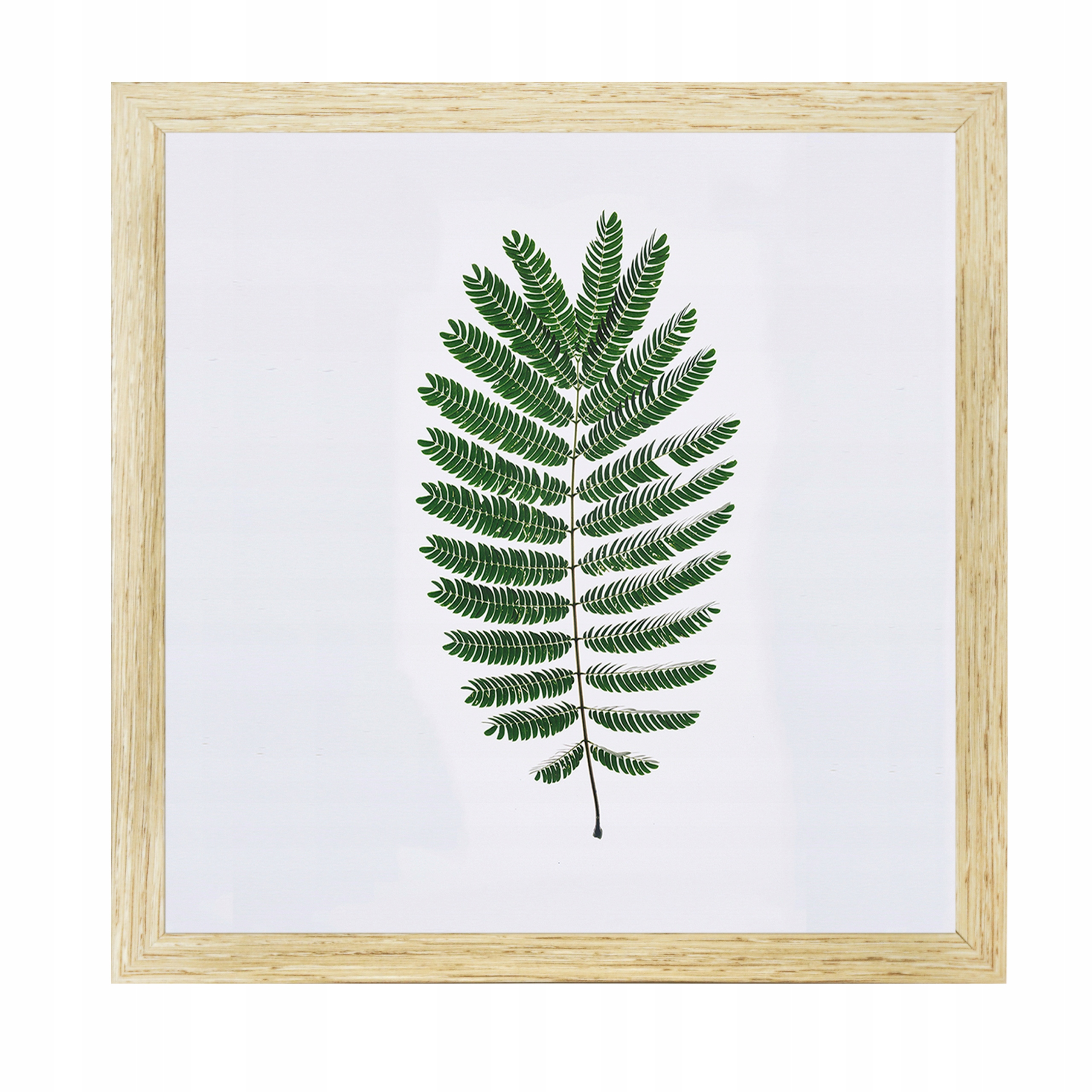 

Ramka na zdjęcia 40x40 Ramki Dąb Sonoma