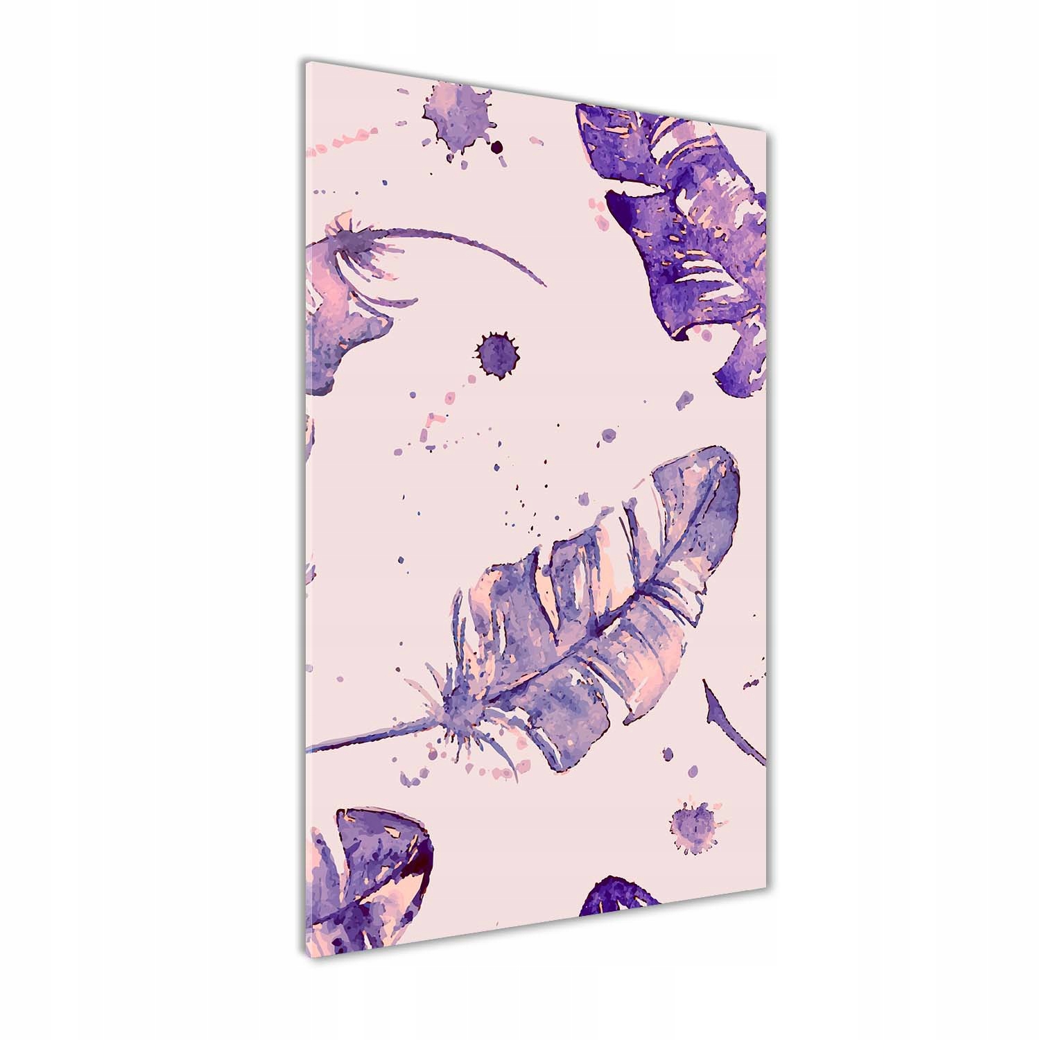 

Nowoczesny foto-obraz akryl na ścianę Pióra 60x120