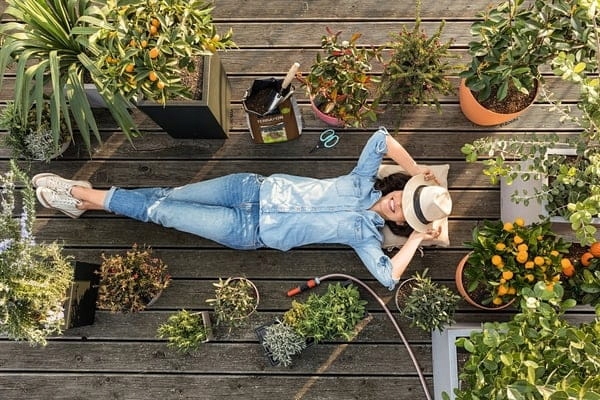 Substrat mineralny LECHUZA PON op. 18 l Marka Lechuza