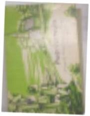 Piotr i Urszula - Praca zbiorowa