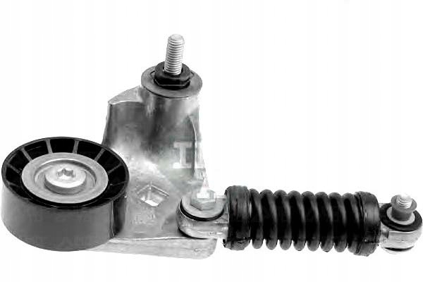 Ina Napinacz Klínového Řemene Vel. Ford S Válečkem In