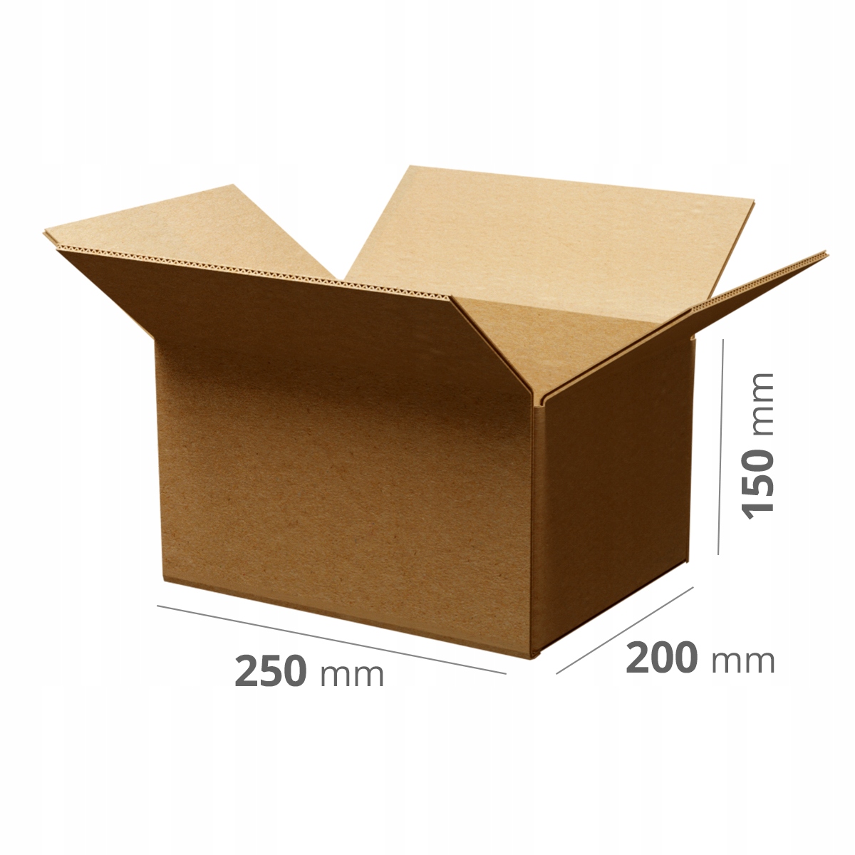 100 szt. Karton Pudło klapowe 250x200x150 szare 3W B 340g/m2 Gabaryt B