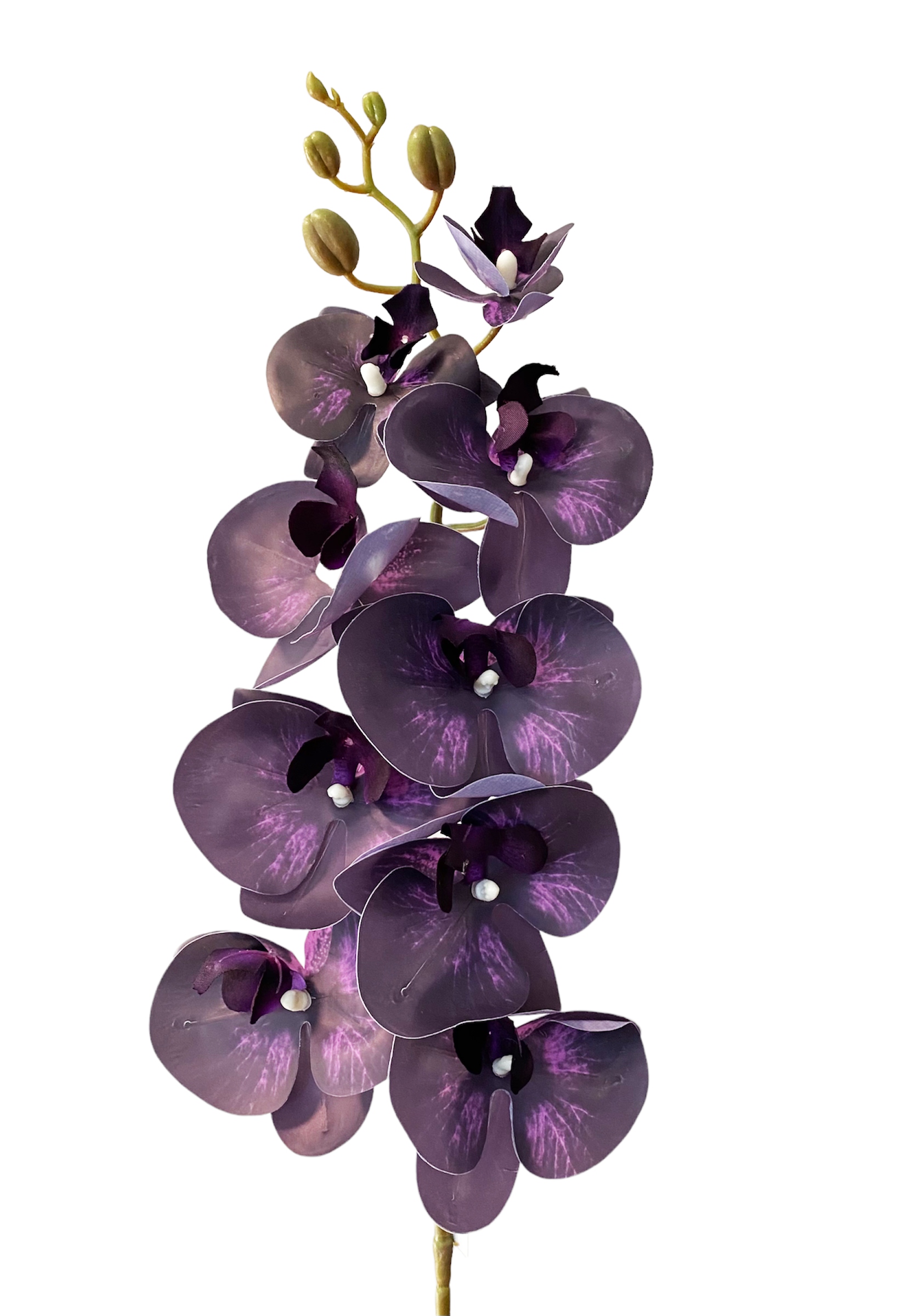 

Storczyk Fiolet Gumowany Orchidea Gałązka Jak Żywy