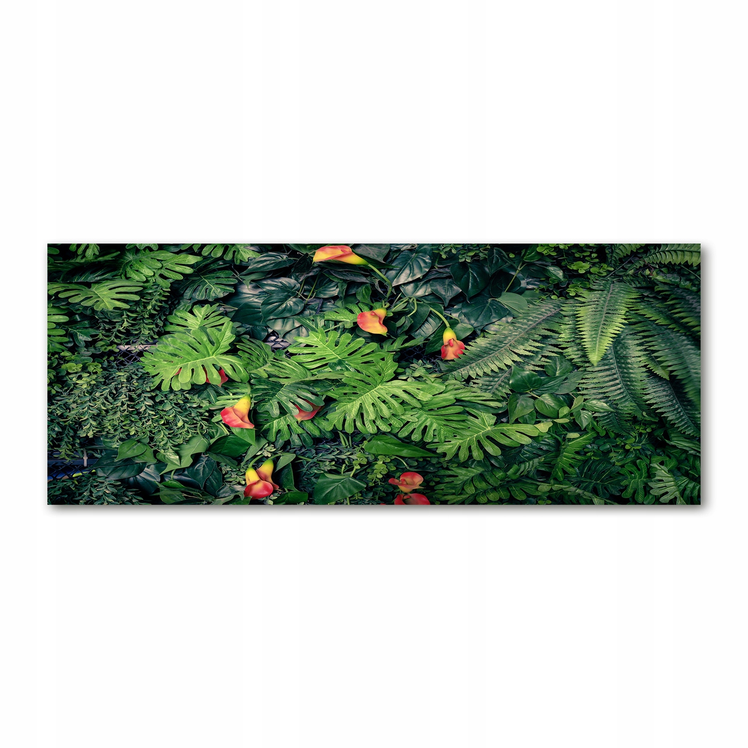

Foto obraz szkło akryl Egzotyczna dżungla 125x50cm